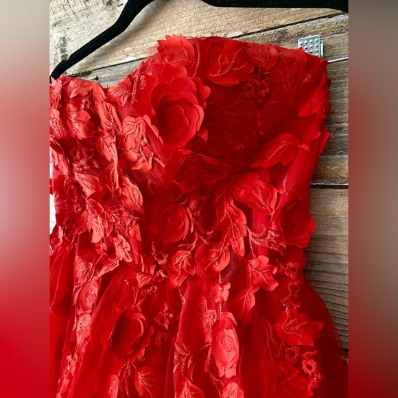 HEBEOSaStrapless 3D Floral Appliqué Gown ❤️ | Corset Bodice | Tulle Ballgown - Picture 4 of 7